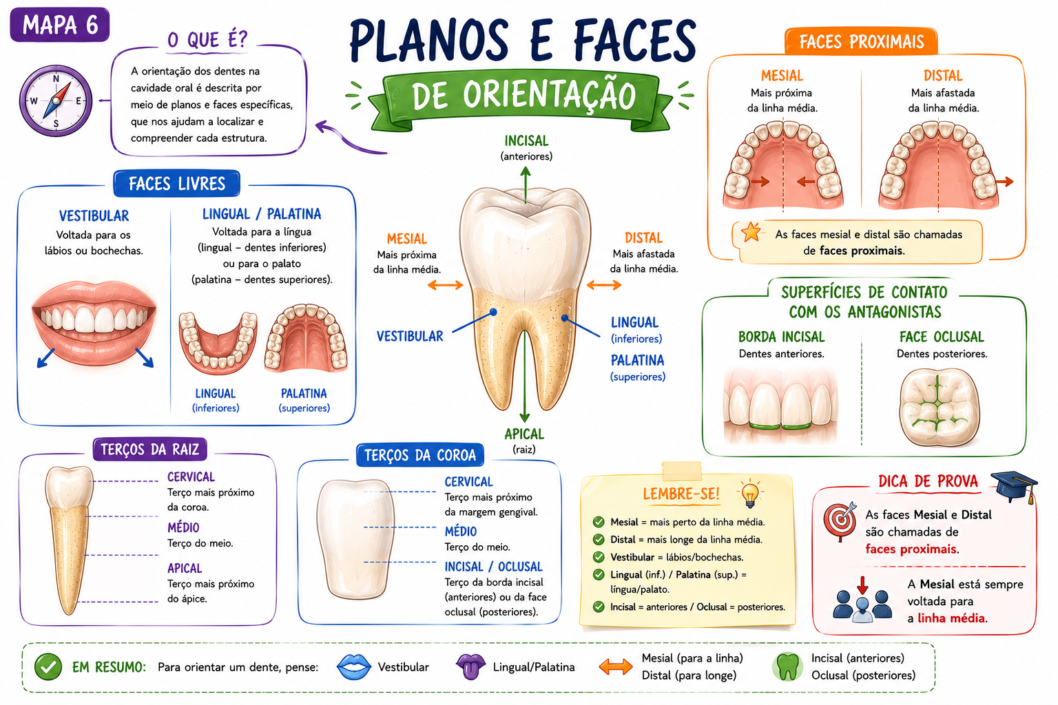 Mapa Esmalte Dental