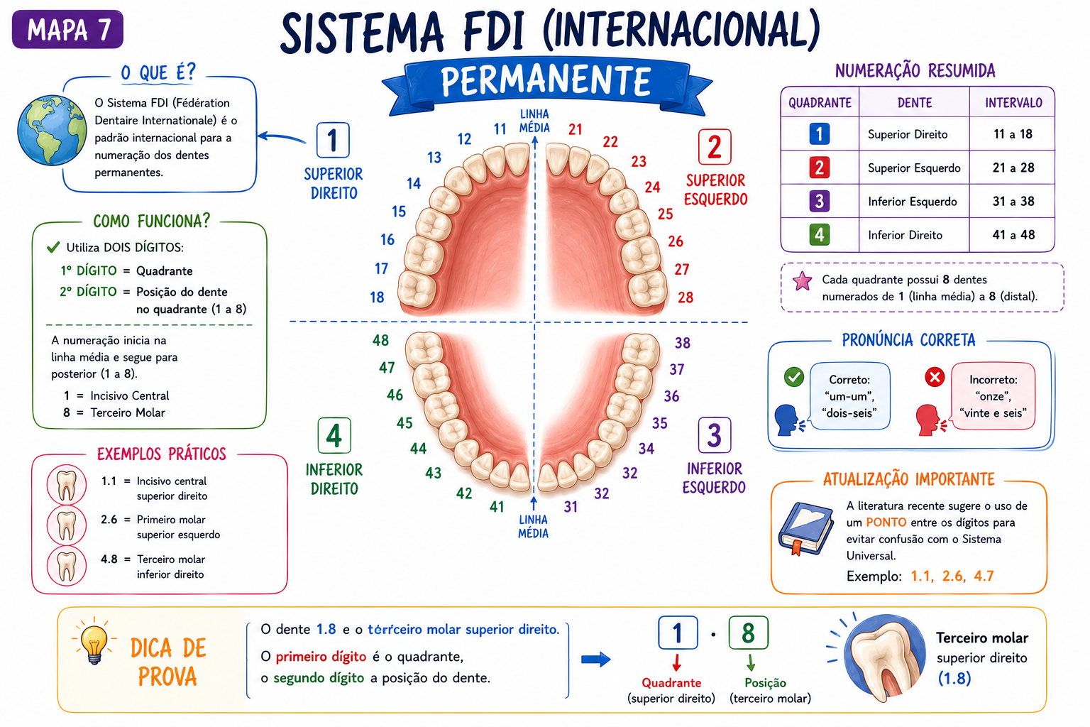 Mapa Dentina