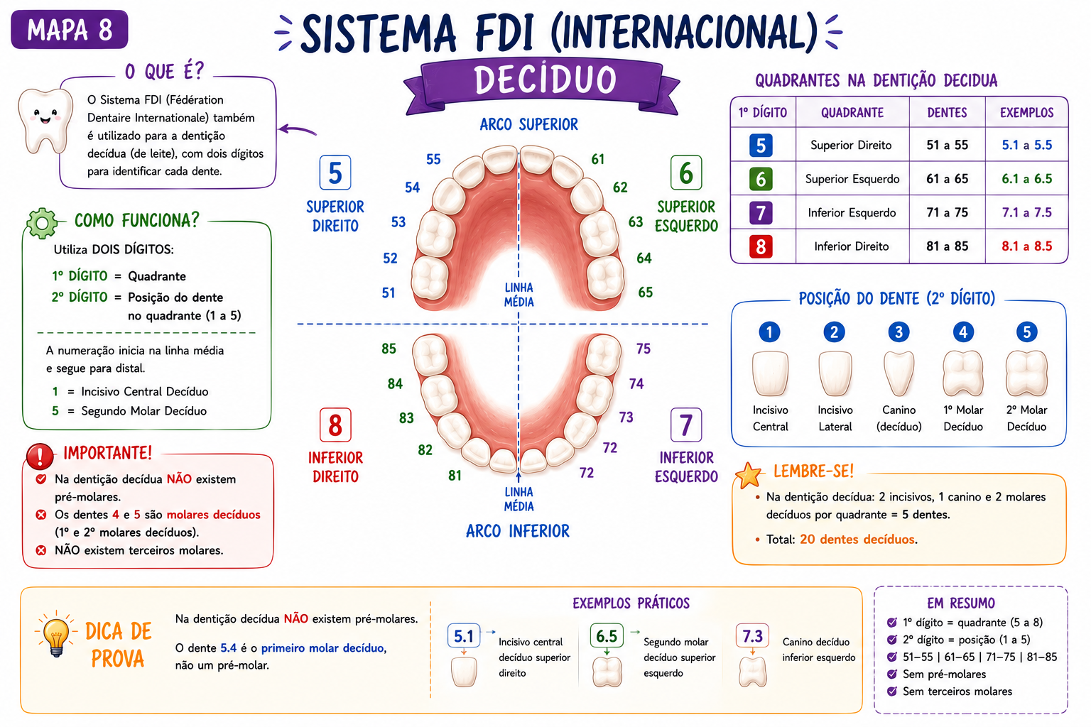 Mapa Polpa Dental