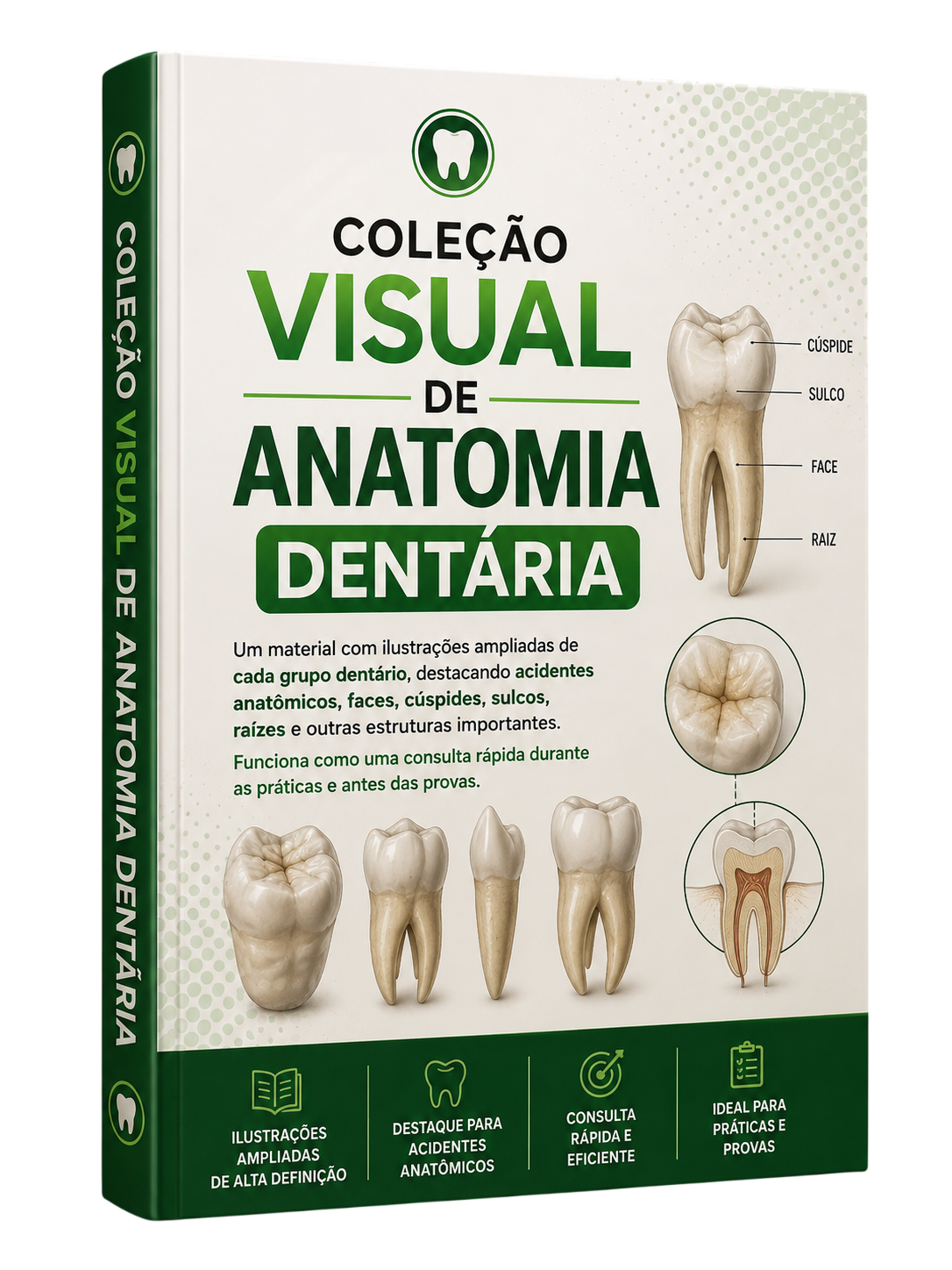 Coleção Visual de Anatomia Dentária