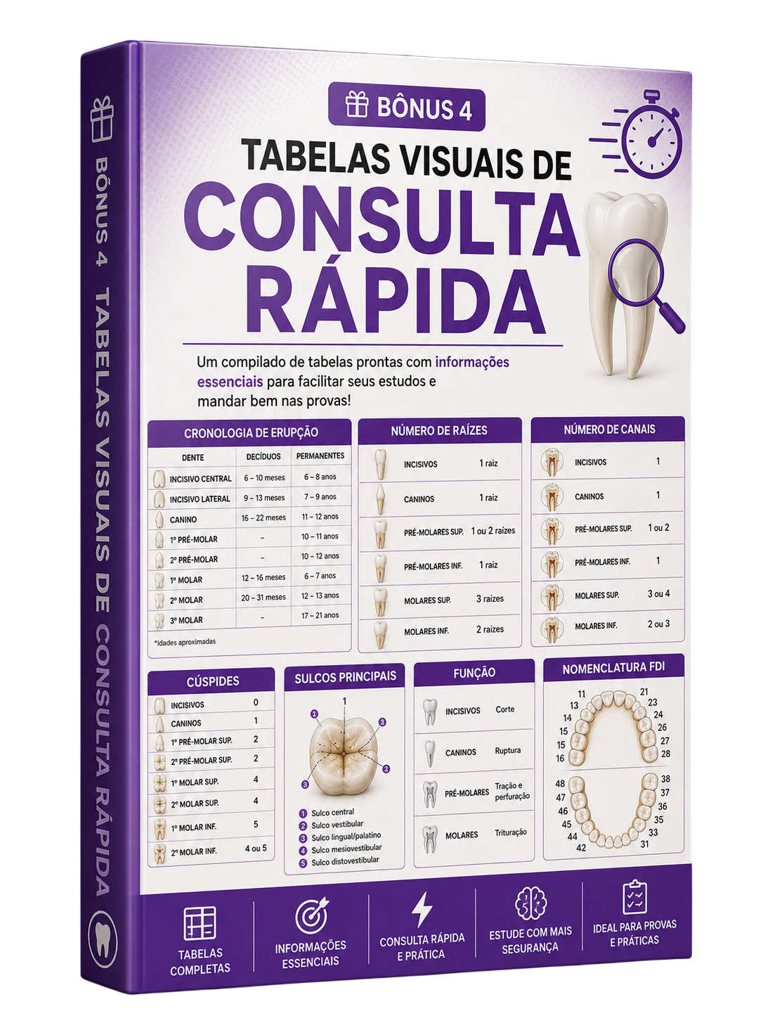 Tabelas Visuais de Consulta Rápida