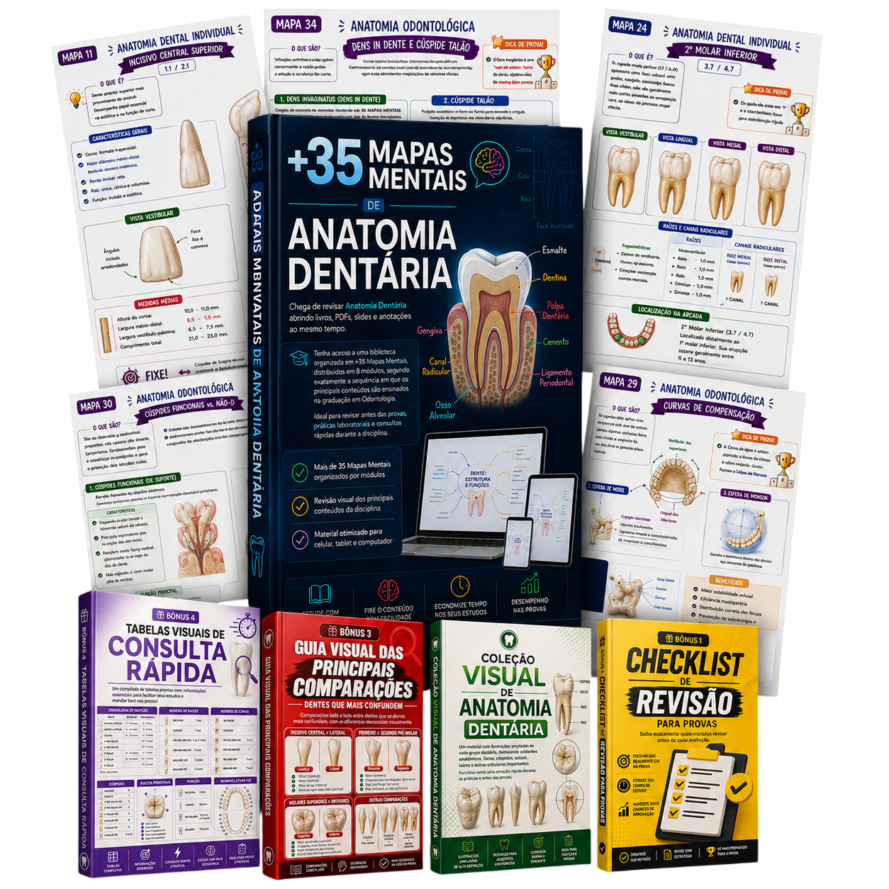 Biblioteca de Anatomia Dentária +35 Mapas Mentais